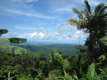 EasternPuertoRicofromT0079