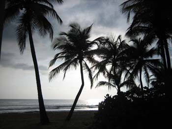 MorningBeachScene