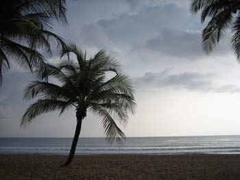 MorningBeachScene2