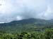 ElYunque-therainforest