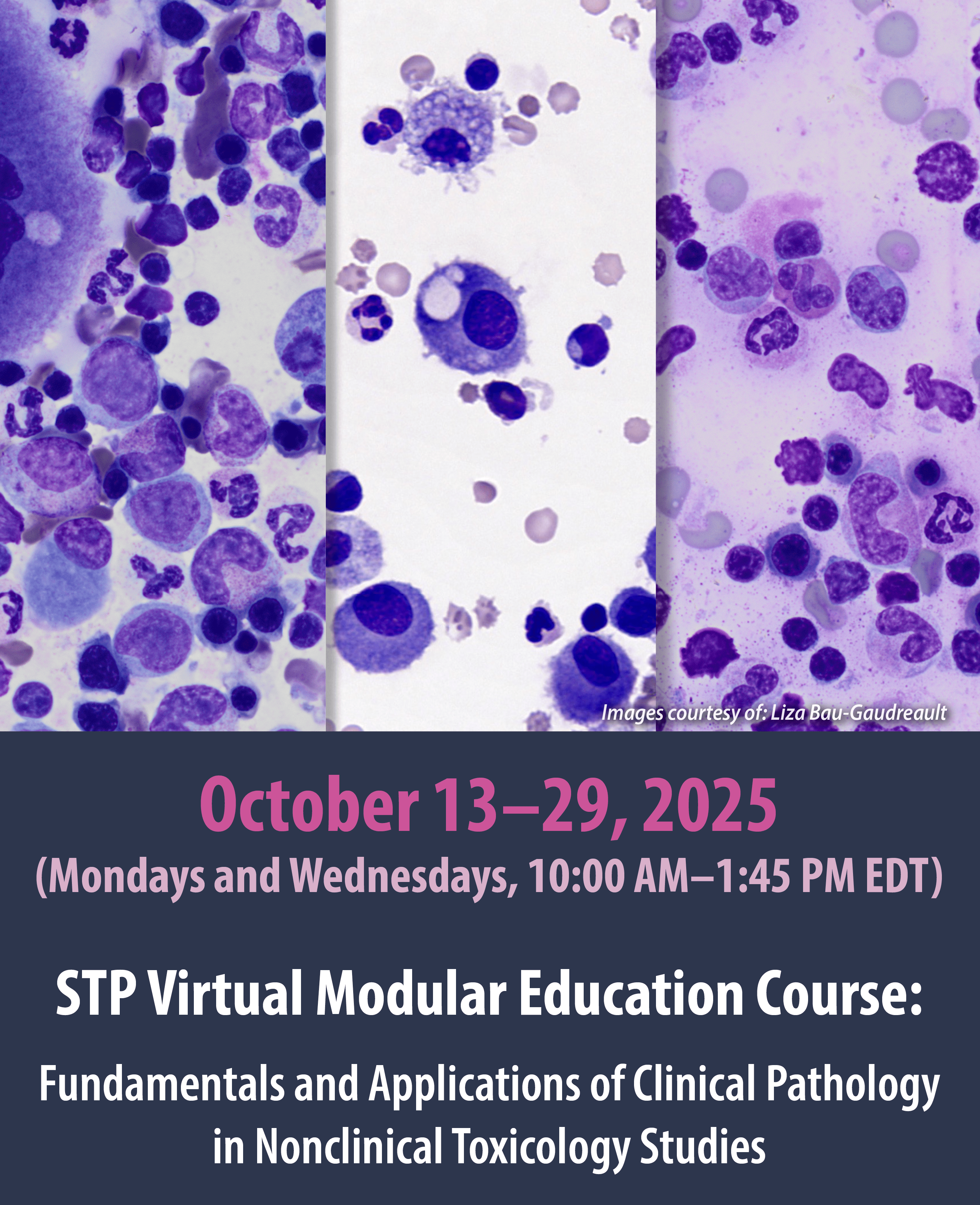 October 13–29, 2025 STP Virtual Modular Education Course
