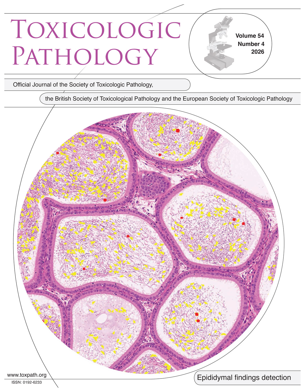 STP journal cover